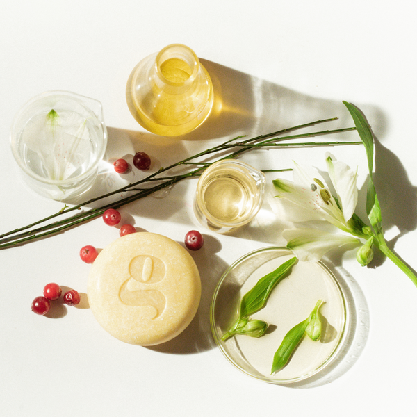 Set for dry hair - shampoo and conditioner