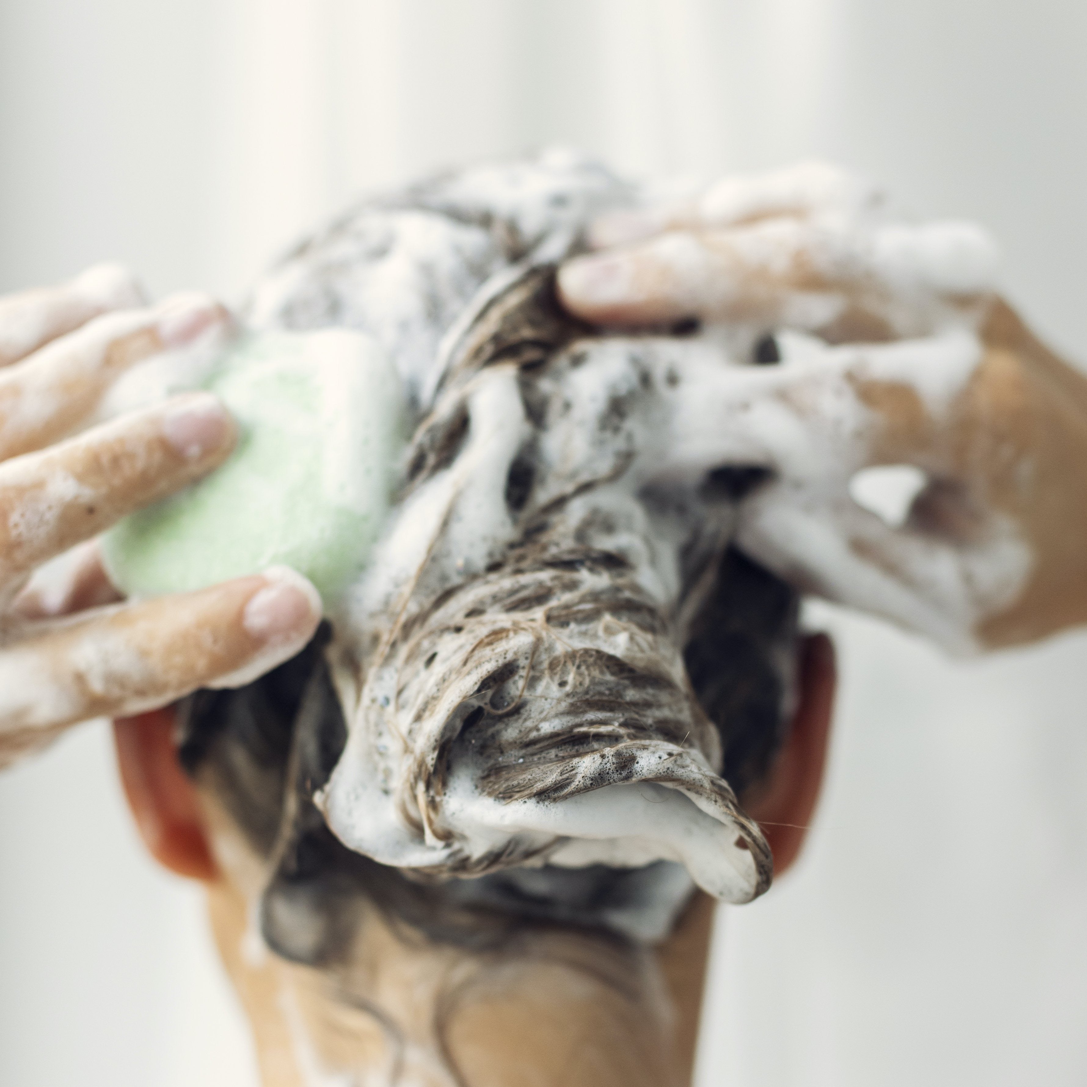 Shampoo für normales Haar – FRISCH & LEICHT